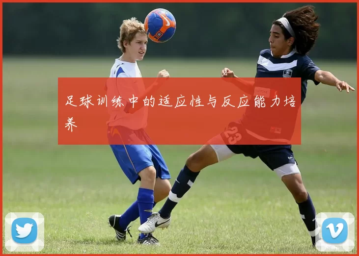 足球训练中的适应性与反应能力培养