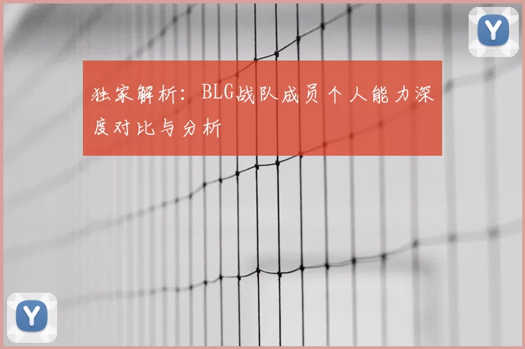 独家解析:BLG战队成员个人能力深度对比与分析