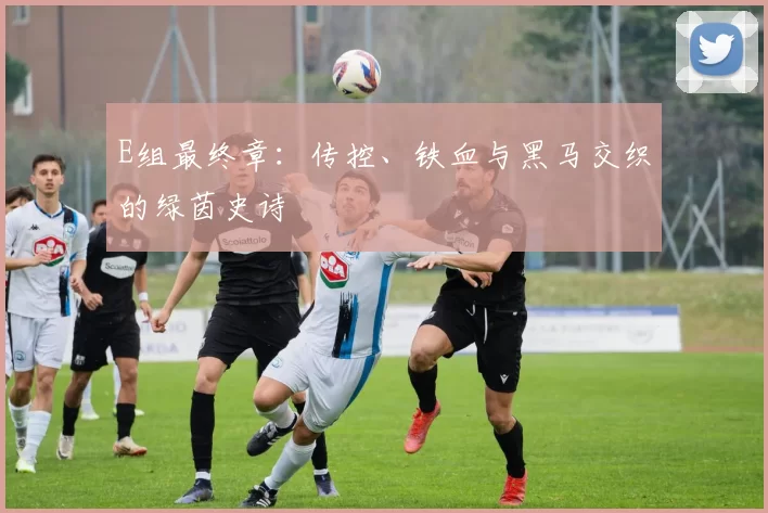 E组最终章:传控、铁血与黑马交织的绿茵史诗