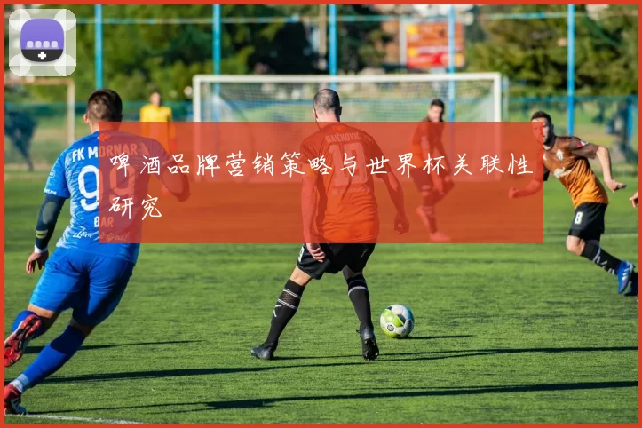 啤酒品牌营销策略与世界杯关联性研究
