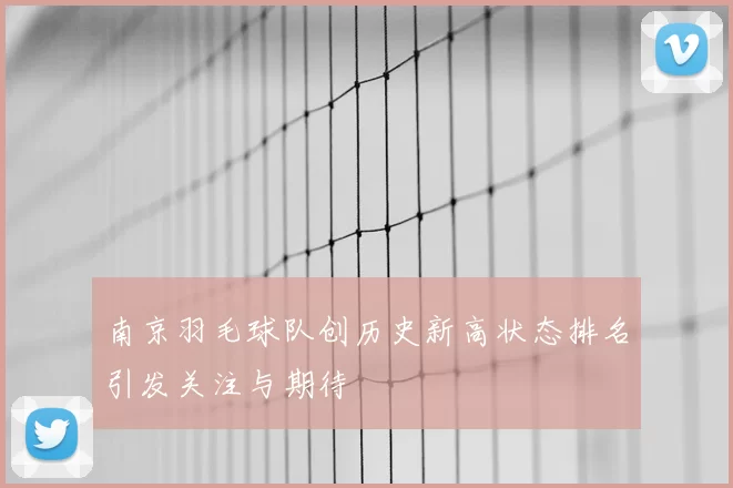南京羽毛球队创历史新高状态排名引发关注与期待