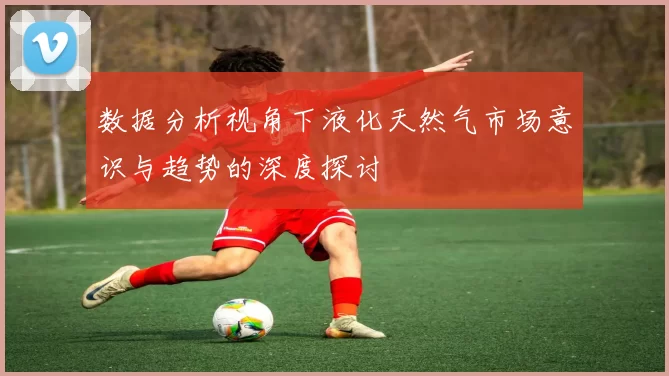 数据分析视角下液化天然气市场意识与趋势的深度探讨