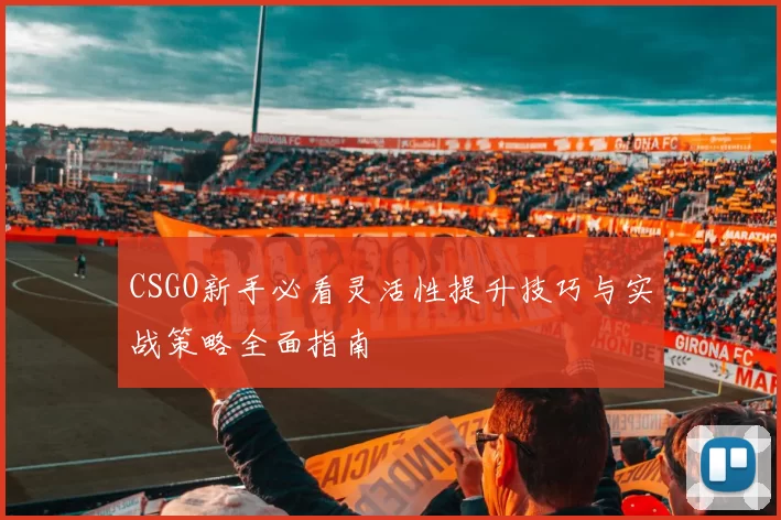 CSGO新手必看灵活性提升技巧与实战策略全面指南