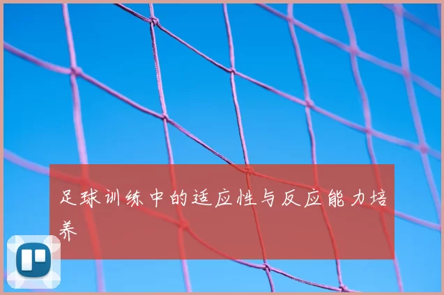 足球训练中的适应性与反应能力培养