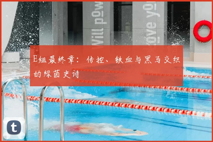 E组最终章:传控、铁血与黑马交织的绿茵史诗