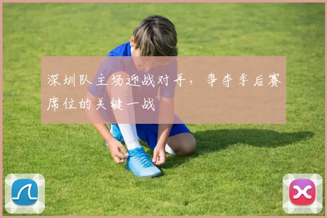 深圳队主场迎战对手，争夺季后赛席位的关键一战