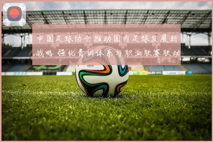 中国足球协会推动国内足球发展新战略 强化青训体系与职业联赛联动合作