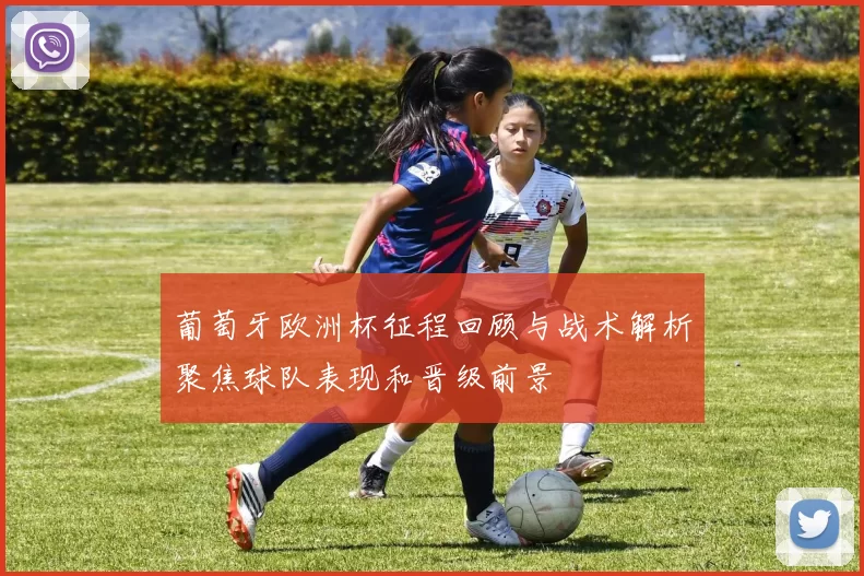 葡萄牙欧洲杯征程回顾与战术解析聚焦球队表现和晋级前景
