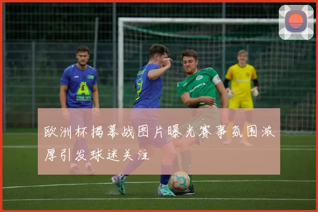 欧洲杯揭幕战图片曝光赛事氛围浓厚引发球迷关注