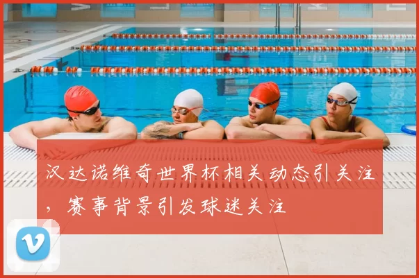 汉达诺维奇世界杯相关动态引关注，赛事背景引发球迷关注